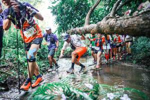 BIB: 
                            <button type="button" onclick="openModal(25467824)" class="btn btn-primary btn-sm float-right btn-popup" data-toggle="modal" data-target=".modal-high-quality">
                        <i class="fas fa-shopping-cart"></i> Add to Cart
                    </button>
                                            <button type="button" onclick="isThisMe(25467824, true)" class="btn btn-success btn-sm float-right btn-popup btn-isme hidden" data-toggle="tooltip" data-placement="bottom" title="นี่คือรูปของคุณใช่ไหม คลิกที่นี่เพื่อเอาเข้าอัลบั้ม">
                        <i class="fas fa-plus"></i> Add to album
                    </button>
                    <button type="button" onclick="isThisMe(25467824, false)" class="btn btn-warning btn-sm float-right btn-popup btn-isnotme hidden">
                        <i class="fas fa-ban"></i> Remove from album
                    </button>